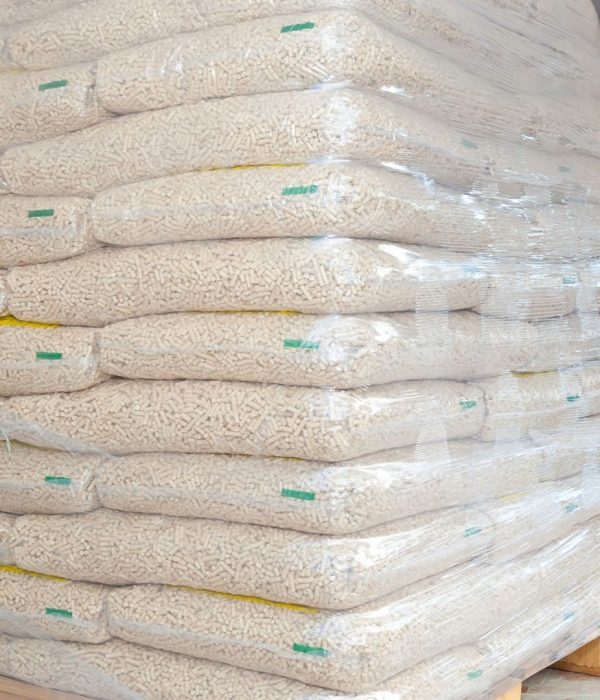 Warm İnternational (4)