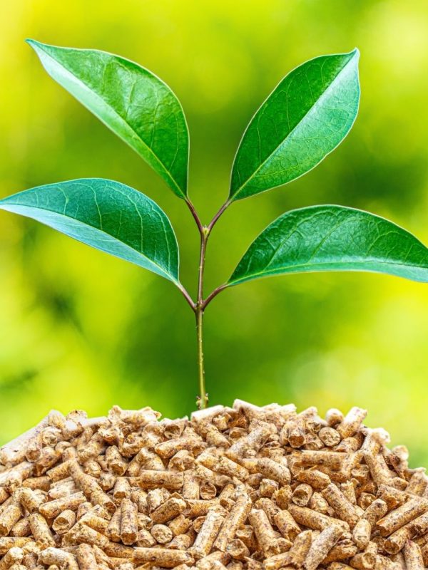 Warm İnternational (1)