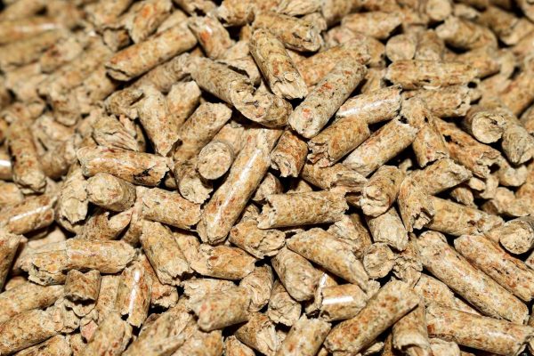 pellets-g1239bd6fe_1920 (1) pellets-g1239bd6fe_1920 (1)
