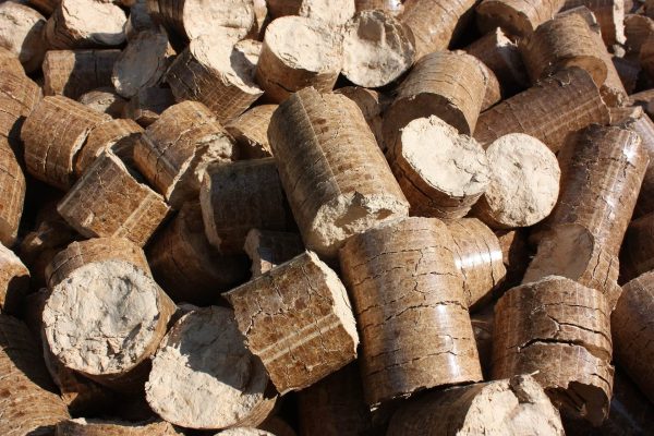 pellets-g2e56a88bf_1920 (1) pellets-g2e56a88bf_1920 (1)